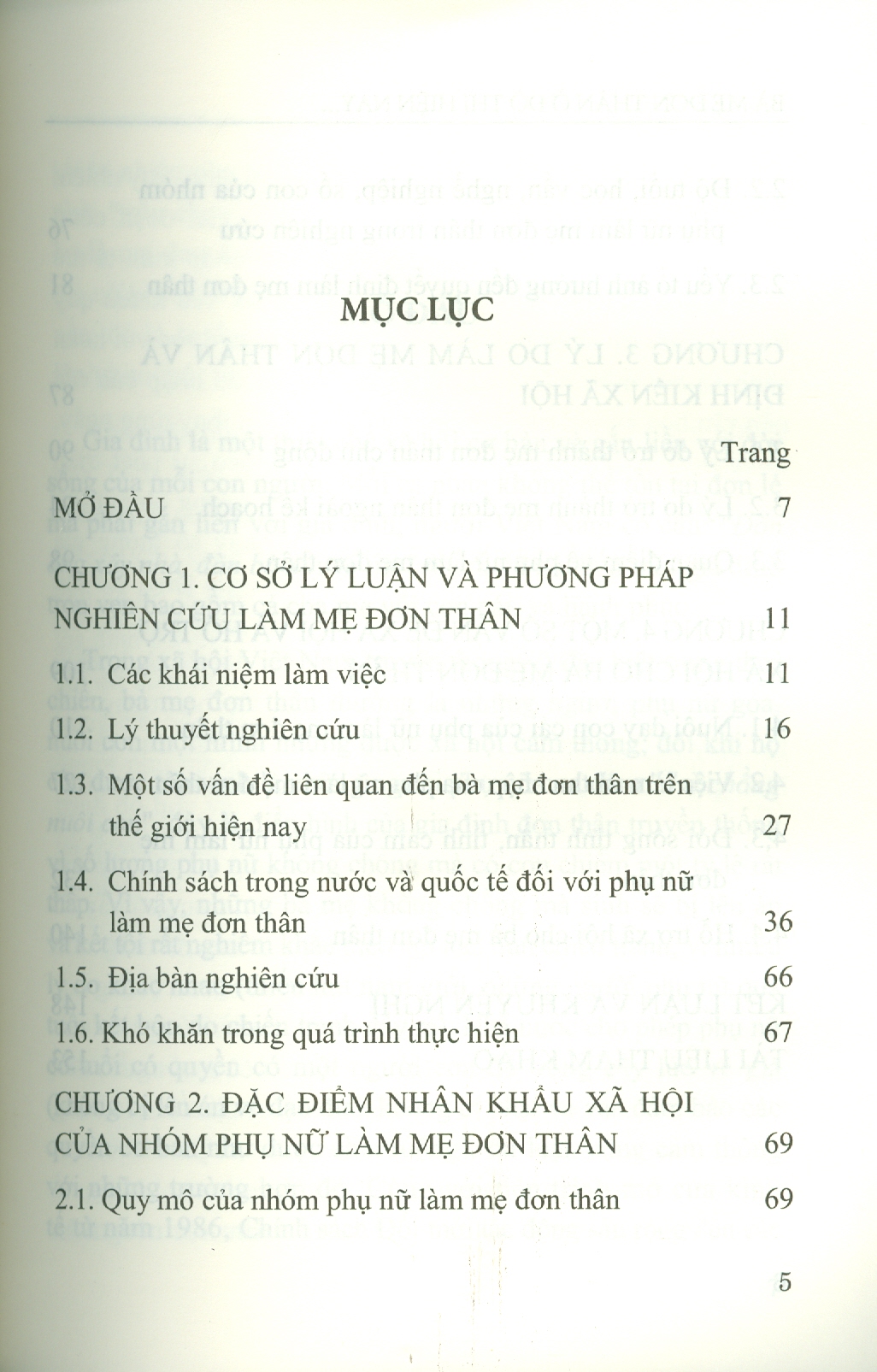 Bà Mẹ Đơn Thân Ở Đô Thị Hiện Nay - Nghiên Cứu Trường Hợp Tại Thành Phố Hà Nội (Sách chuyên khảo)