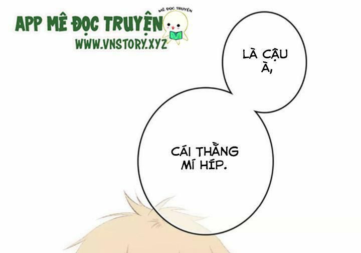 con tim rung động 2 chapter 30 4