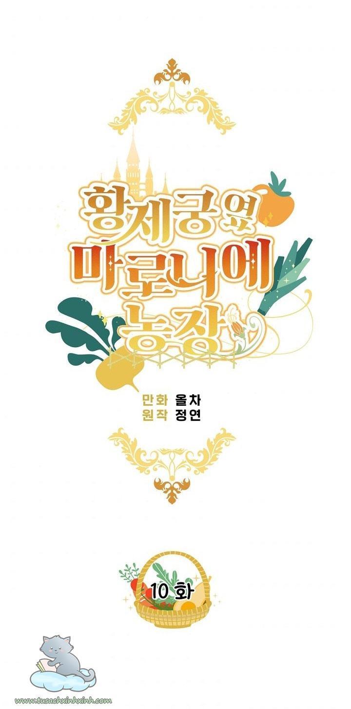 trang trại hạt dẻ cạnh hoàng cung chapter 10 6