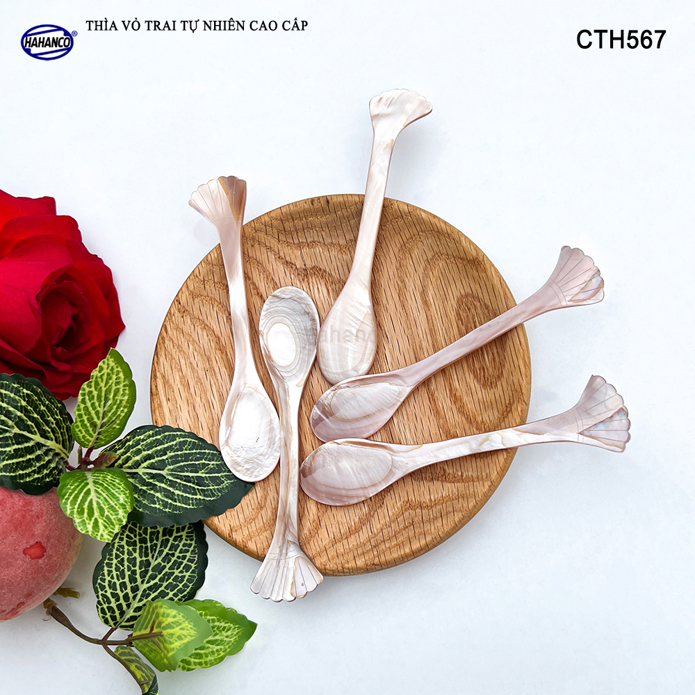 Muỗng Cà Phê Gia Vị Bằng Xà Cừ Tiêu Chuẩn Xuất Khẩu - HAHANCO - CTH567