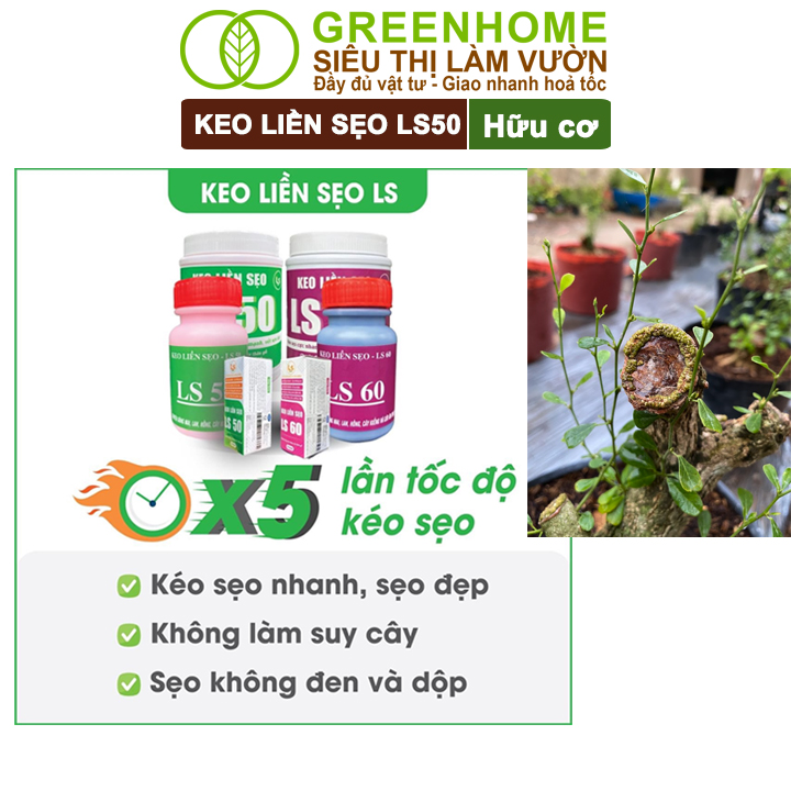 Keo Liền Sẹo LS50 Cho Cây Greenhome, Liền Nhanh Vết Cắt Da Cây, Chiết Cành,  Bonsai, Lan, Kiểng Lá