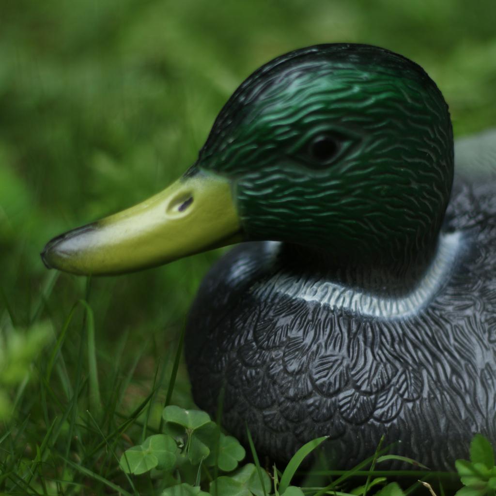4pcs Simulation Decoy Duck  Lifelike Outdoor Mallard Duck Ornament