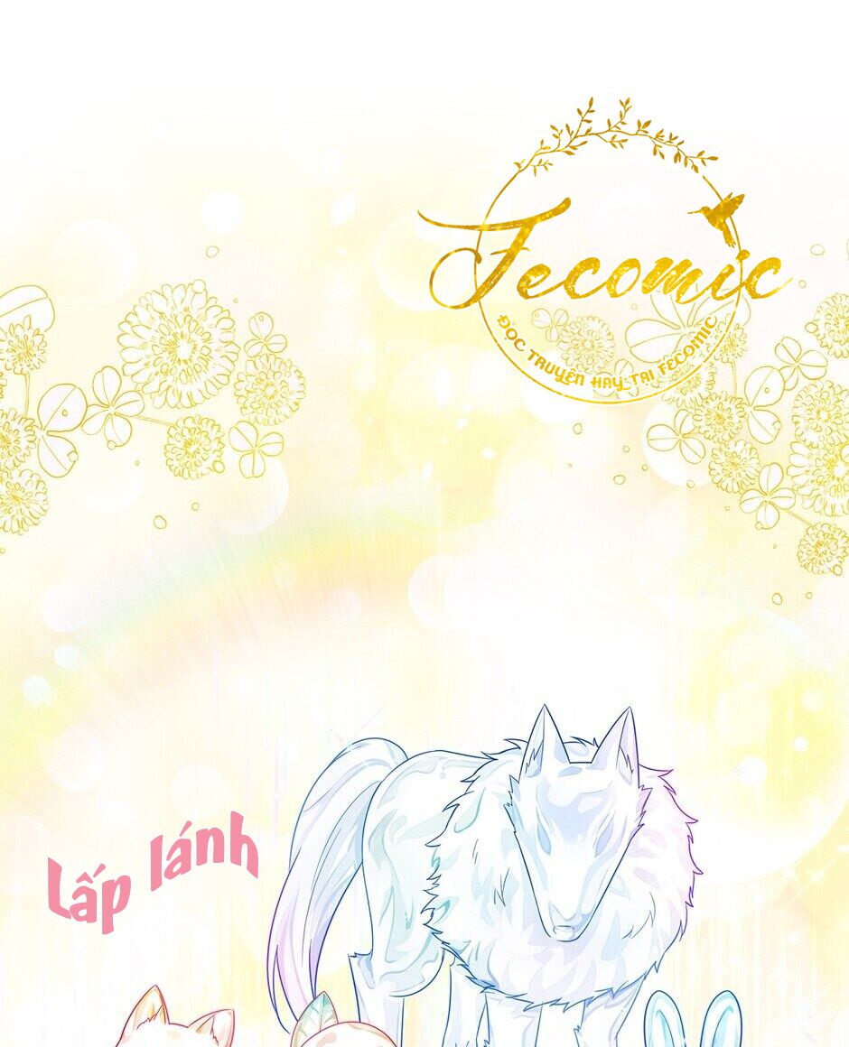 nữ công tước với tâm hồn trống rỗng chapter 66 80