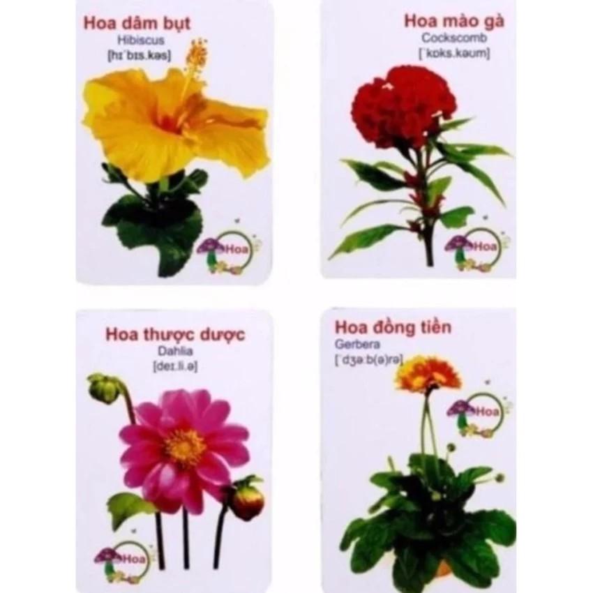 Bộ Thẻ Học Song Ngữ Thông Minh Flashcard 16 Chủ Đề 416 Thẻ