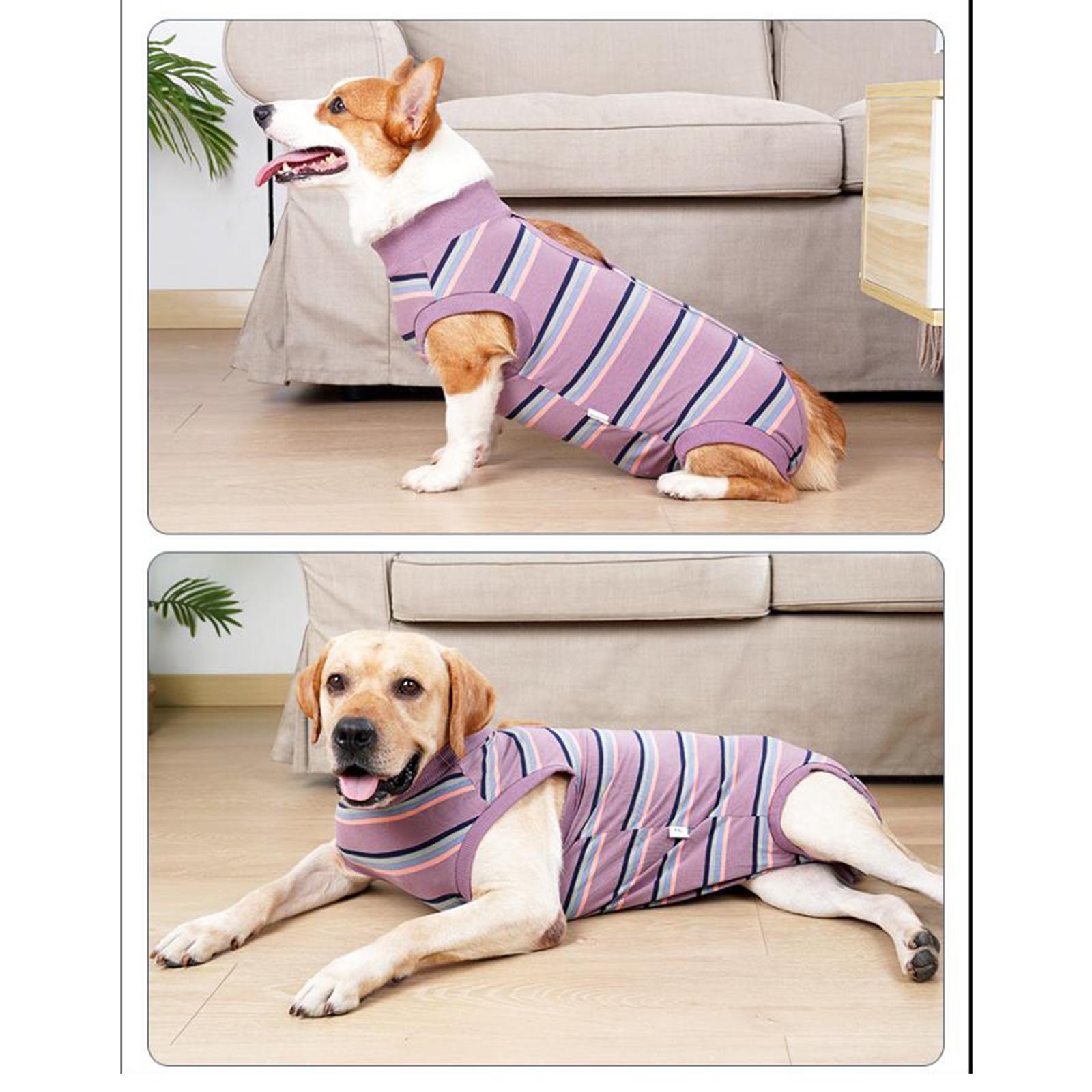 Pet Physiological Clothes Pet Supplies Breathable Nappy Jacket Dog Clothes