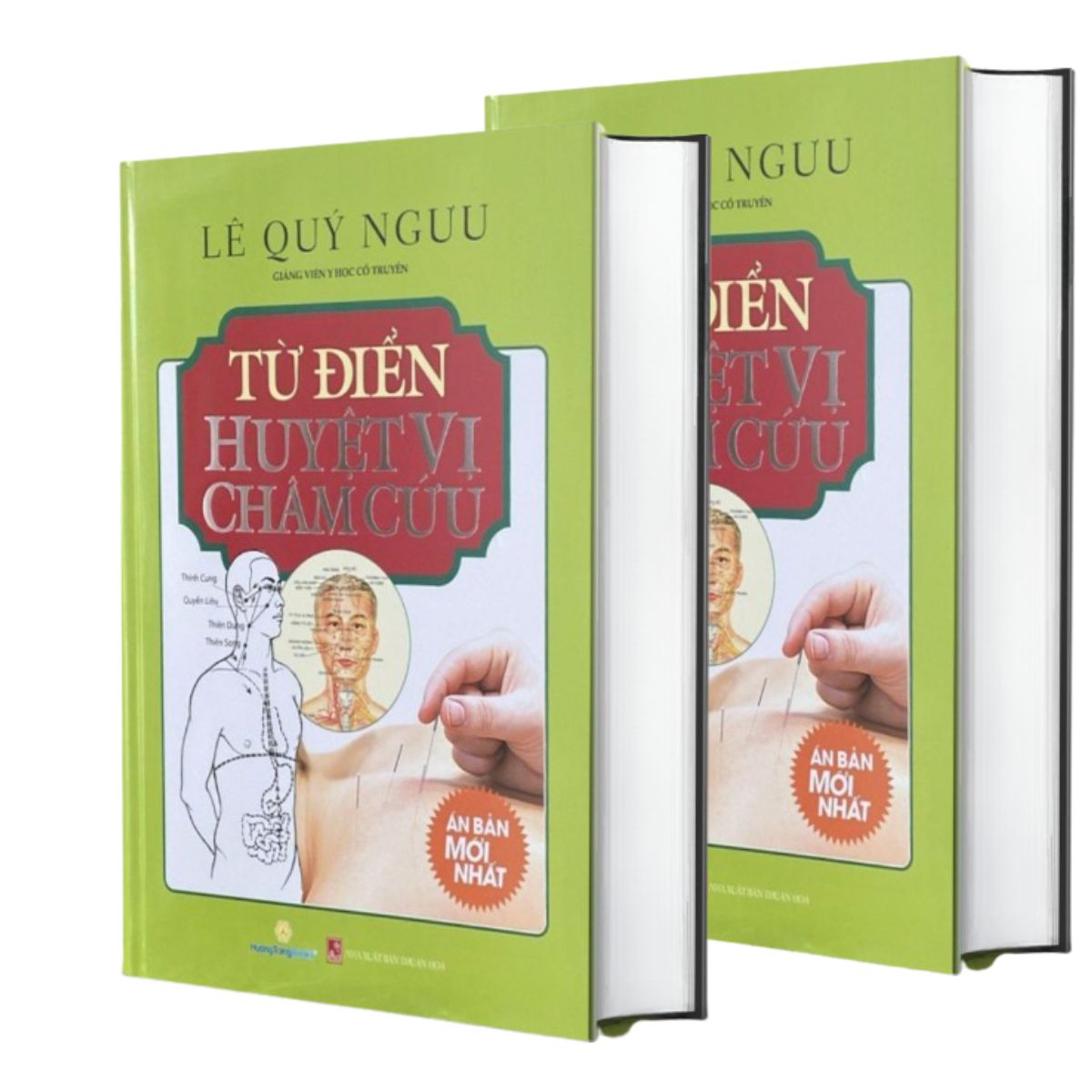 Từ Điển Huyệt Vị Châm Cứu