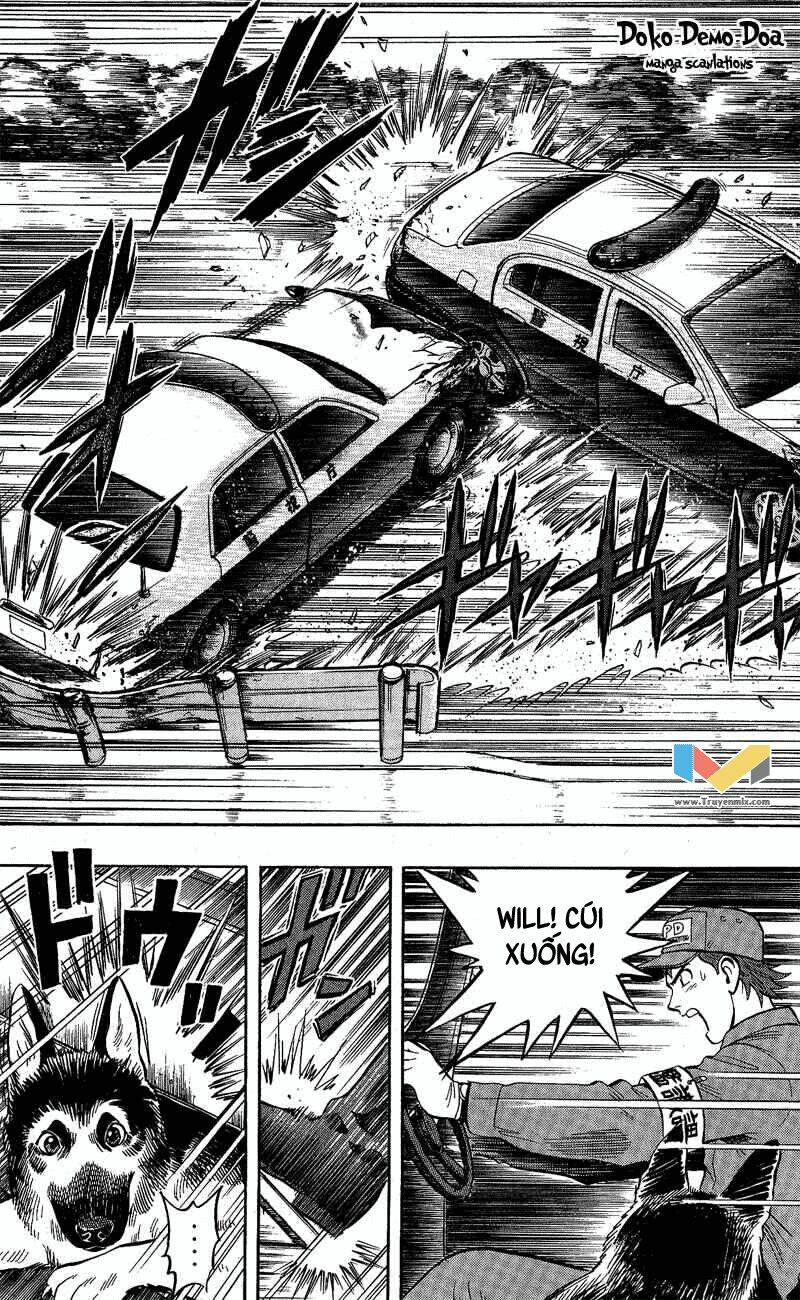 animal sense chapter 9 11