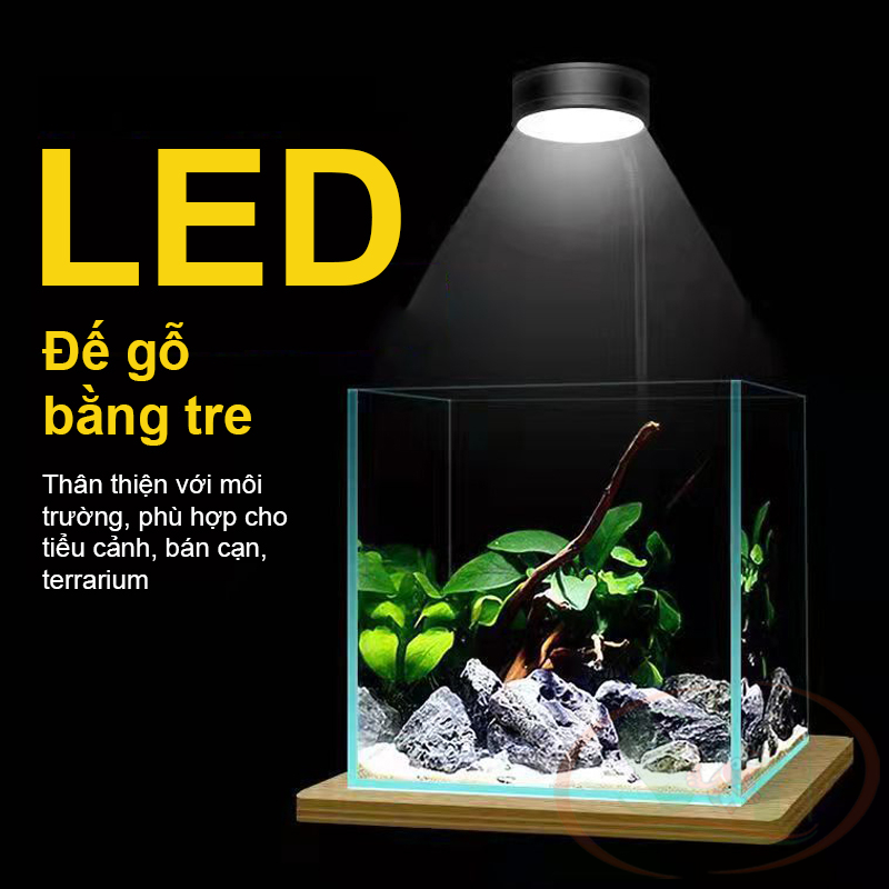 Đèn led đế gỗ Bambo 3, 5, 7, 9W trồng cây thủy sinh, tiểu cảnh terrarium bán cạn mini