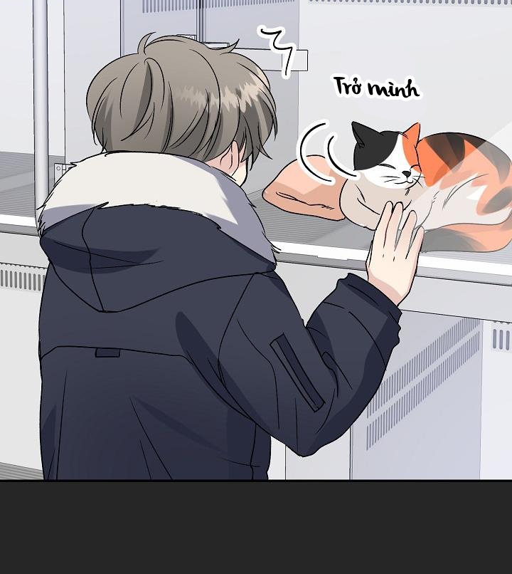 xác suất tình yêu chapter 40 106