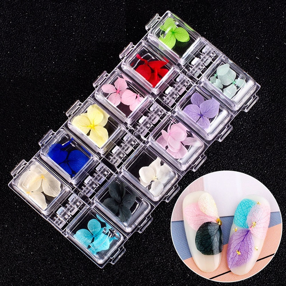 Hoa Khô San Hô Trang Trí Nail 12 Màu Đa Dạng Hình Dáng Kích Thước, Gắn Móng Theo Nhiều Phong Cách