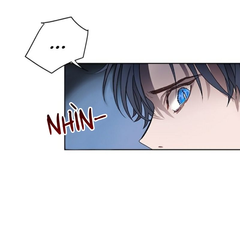 cách để cứu rỗi anh trai của nữ chính chapter 8 40