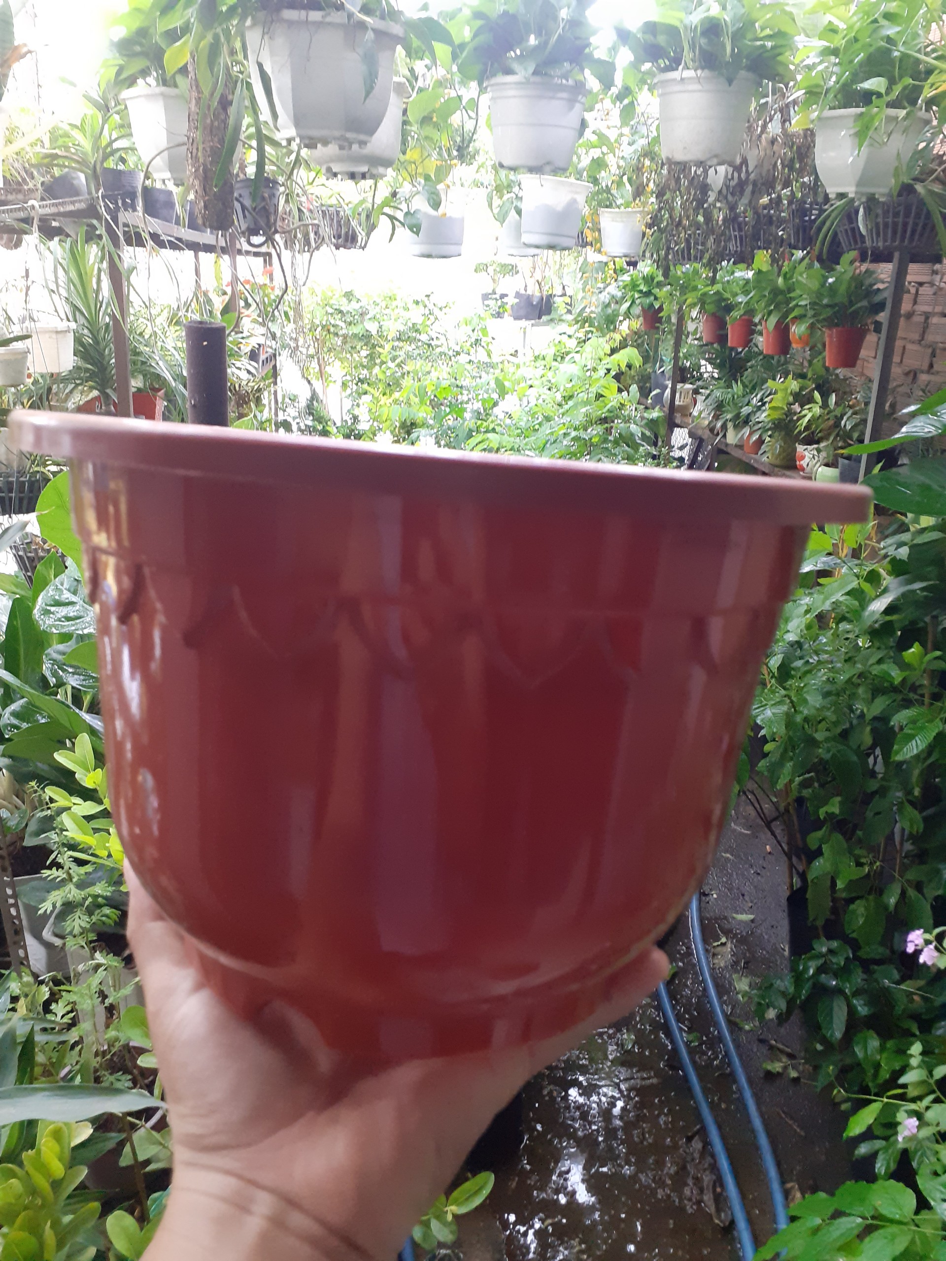 1 cái Chậu nhựa Tròn đỏ Đô dày bền trồng cây.