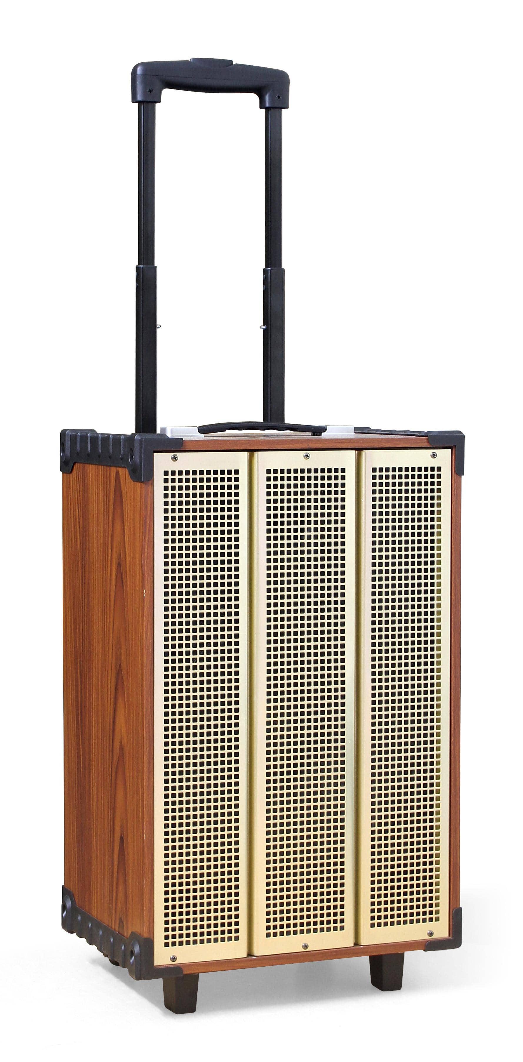 Loa kéo Arirang MKS1 300W Bass 30cm 12'' - Hàng Chính Hãng