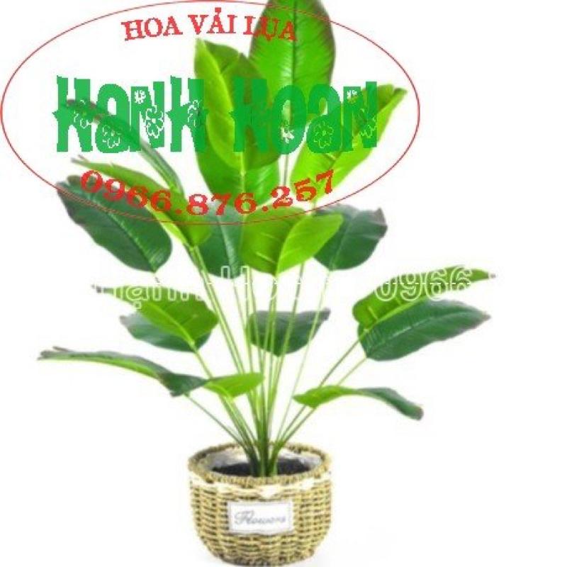 Cây chuối cảnh phong thủy 18 lá và 12 lá - Cây giả trang trí