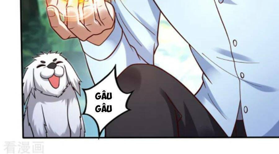 tối cường thần y tại đô thị chapter 246 29