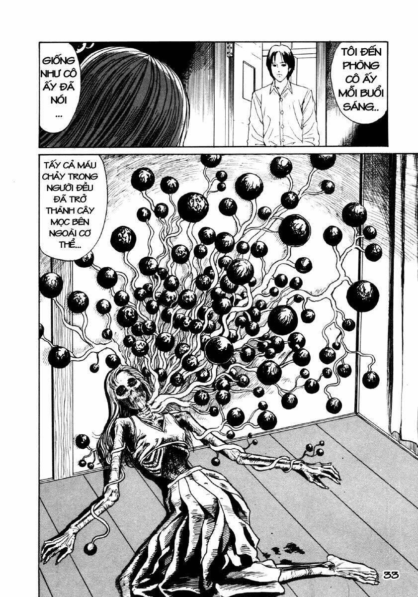 tuyển tập truyện ngắn kinh dị của ito junji chapter 8.1 35