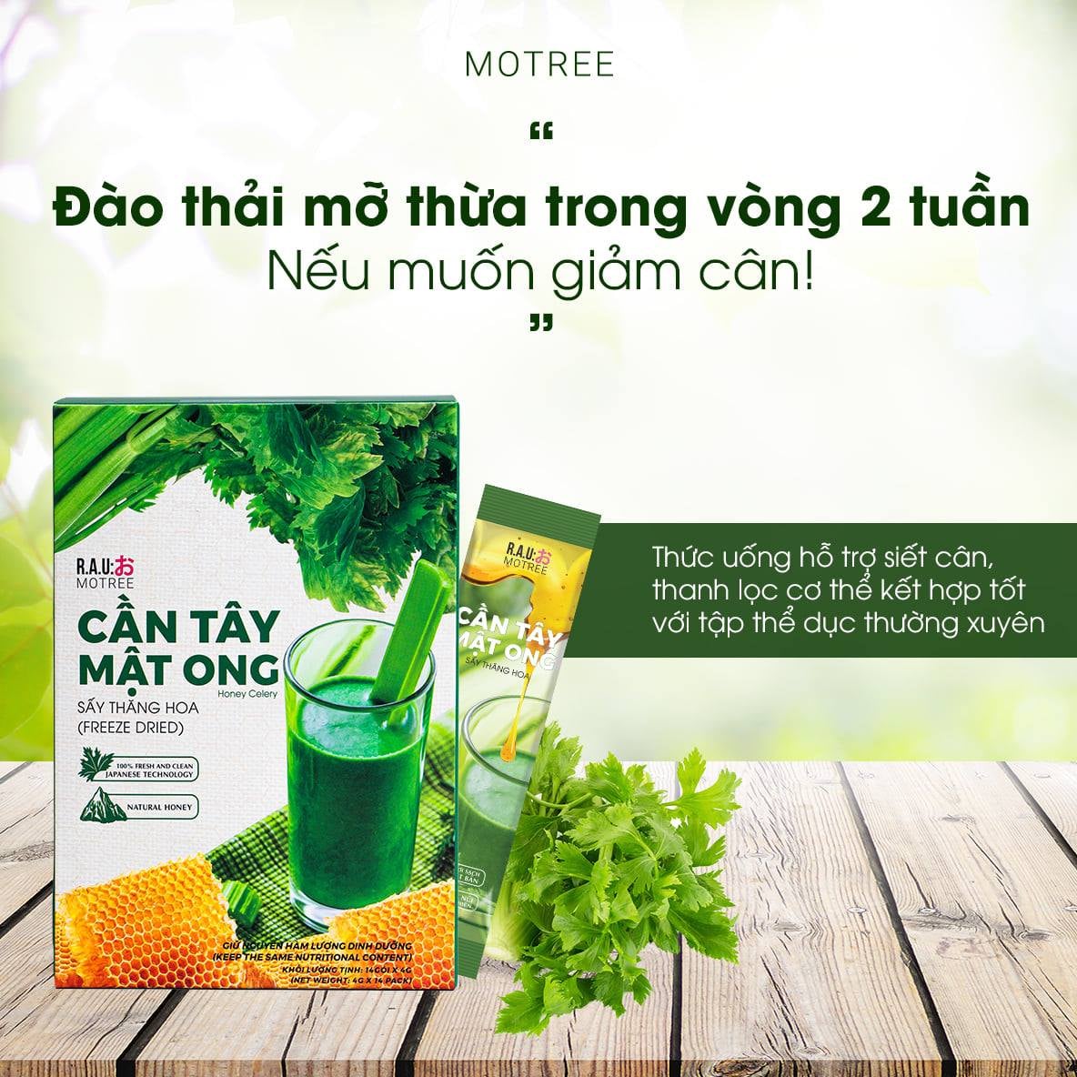 Cần tây mật ong MOTREE 14 gói 56gr