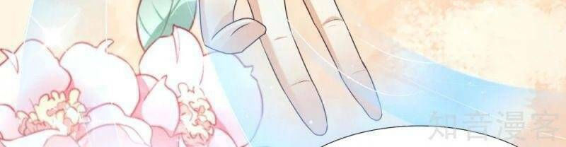 tối cường vận đào hoa chapter 190 22