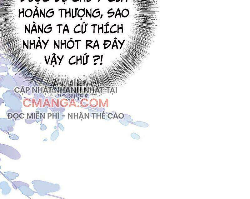quận chúa vững vàng, thiết lập nhân vật không thể vỡ chapter 44 40