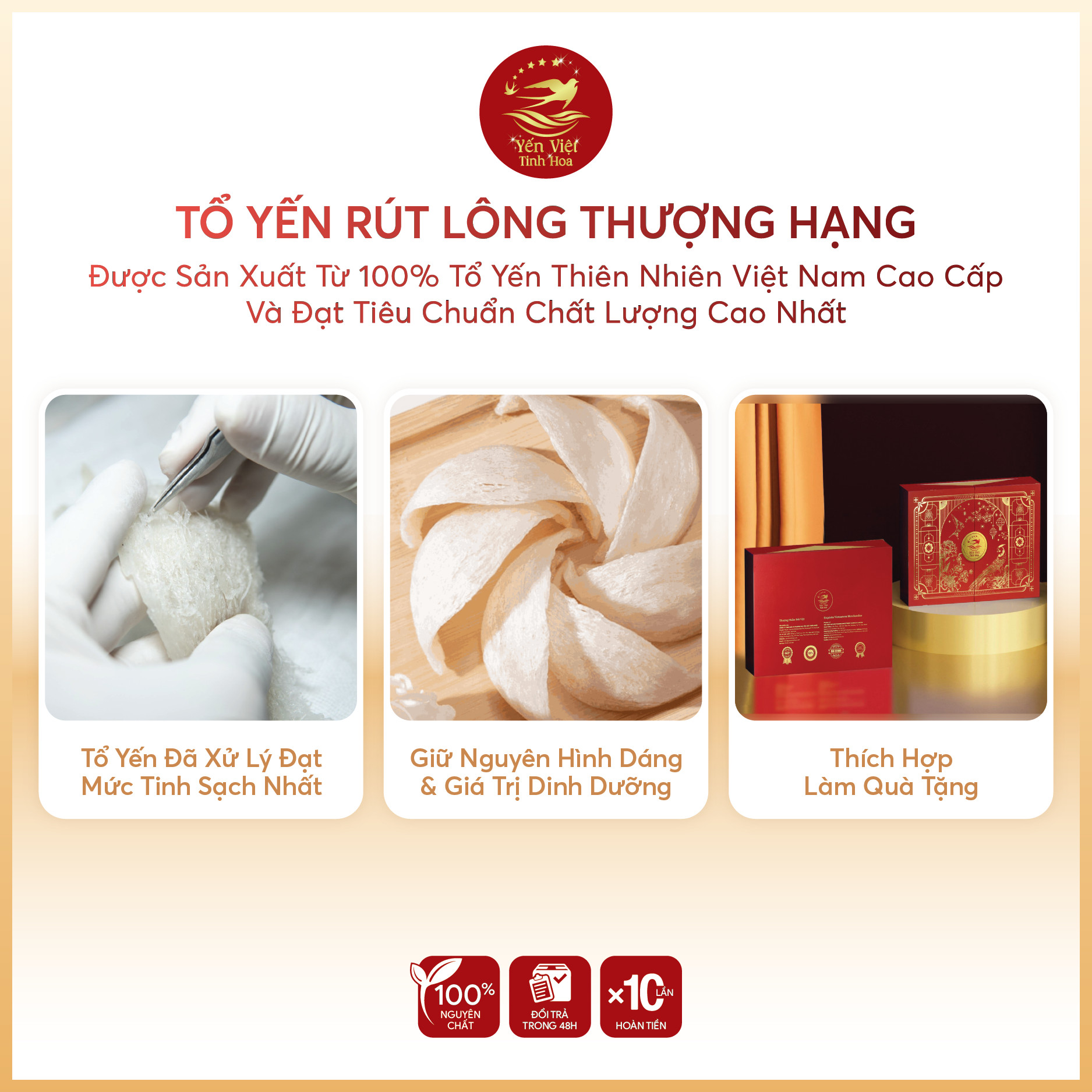 Tổ yến rút lông thượng hạng 100 gram Yến Việt Tinh Hoa  - Hàng chính hãng