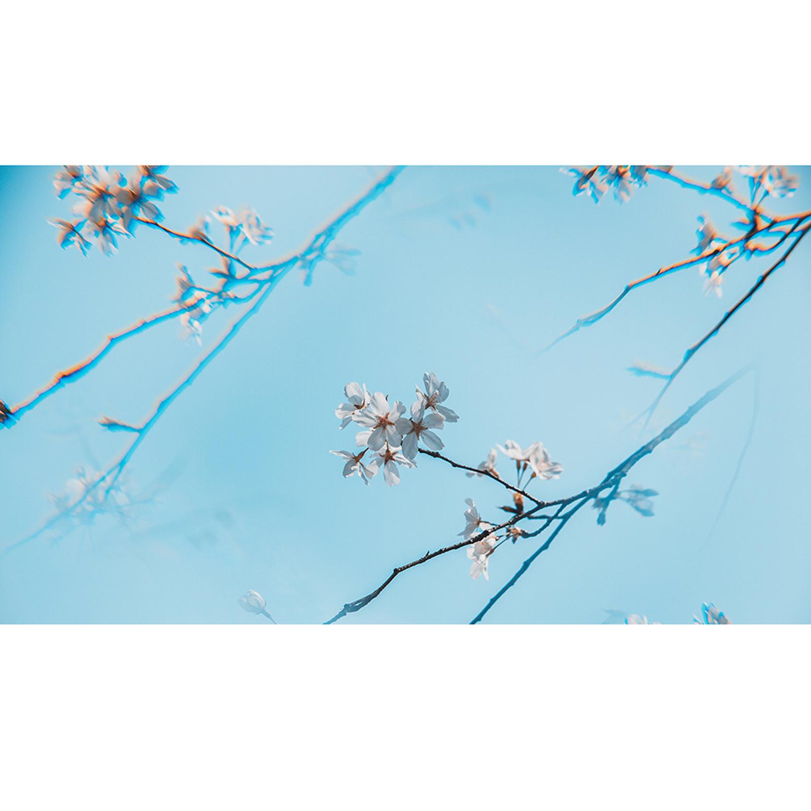 Camera Special Effects Lens Accessories Filter Diameter 77mm Spare Parts