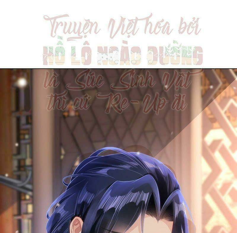 quận chúa vững vàng, thiết lập nhân vật không thể vỡ chapter 28 41