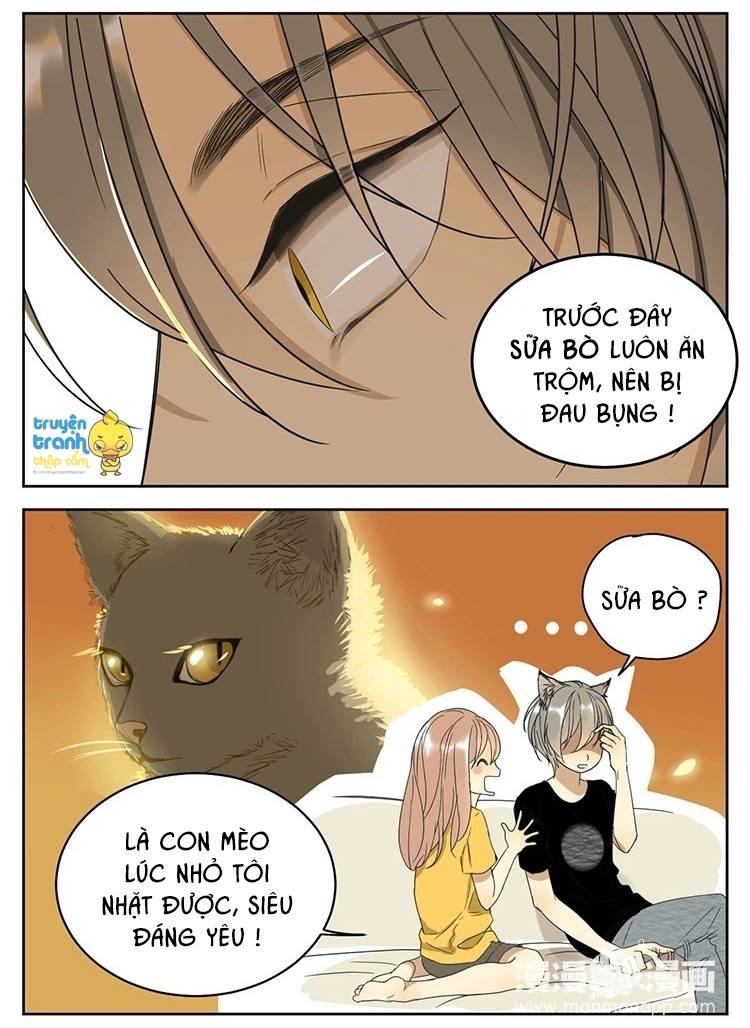cứu mạng ! loài mèo thống trị thế giới rồi ! chapter 11 8