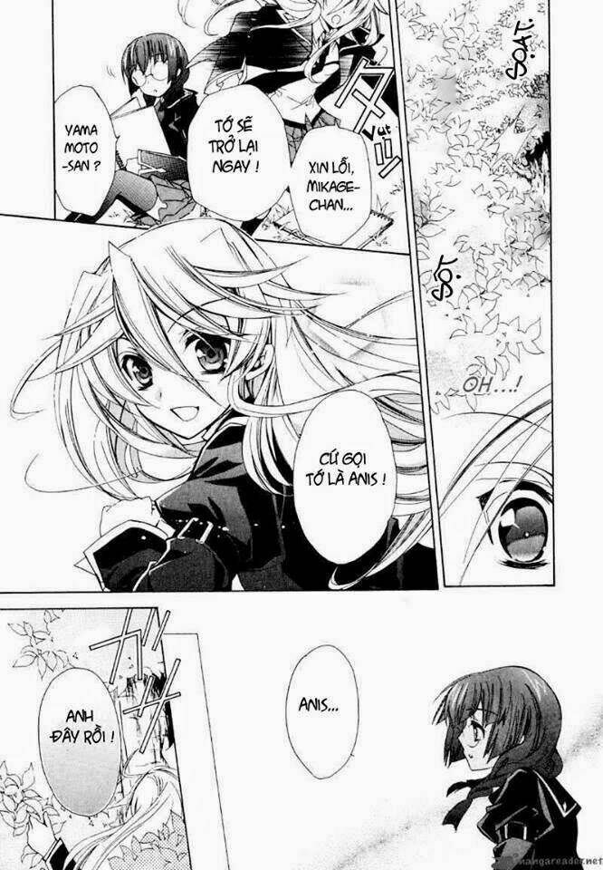 nụ hôn của công chúa tường vi chapter 17 16