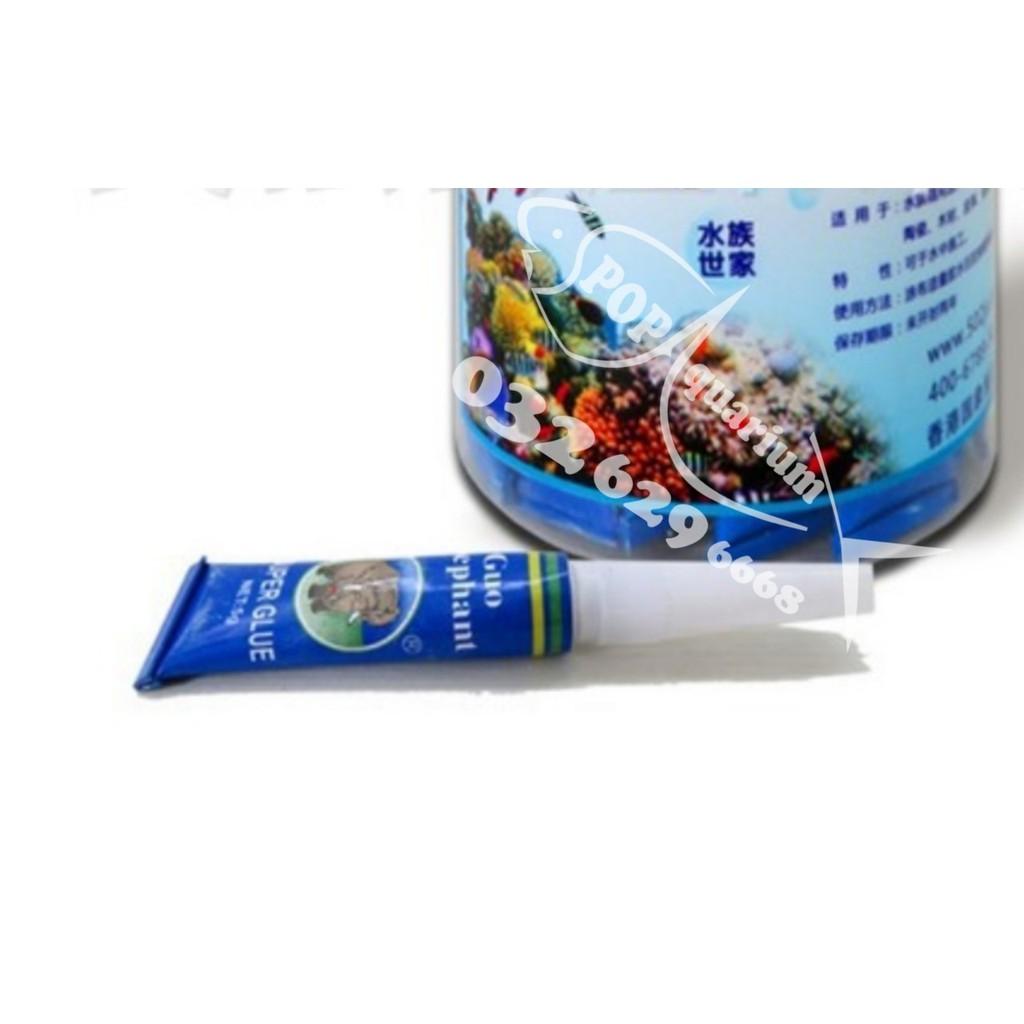 Keo dán rêu,cây thủy sinh