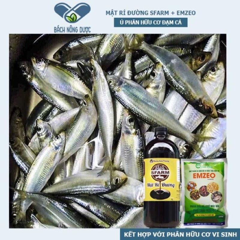 COMBO 1 MẬT RỈ ĐƯỜNG + 2 GÓI EMZEO DÙNG Ủ PHÂN ĐẬU TƯƠNG, PHÂN HỮU CƠ ĐẠM CÁ