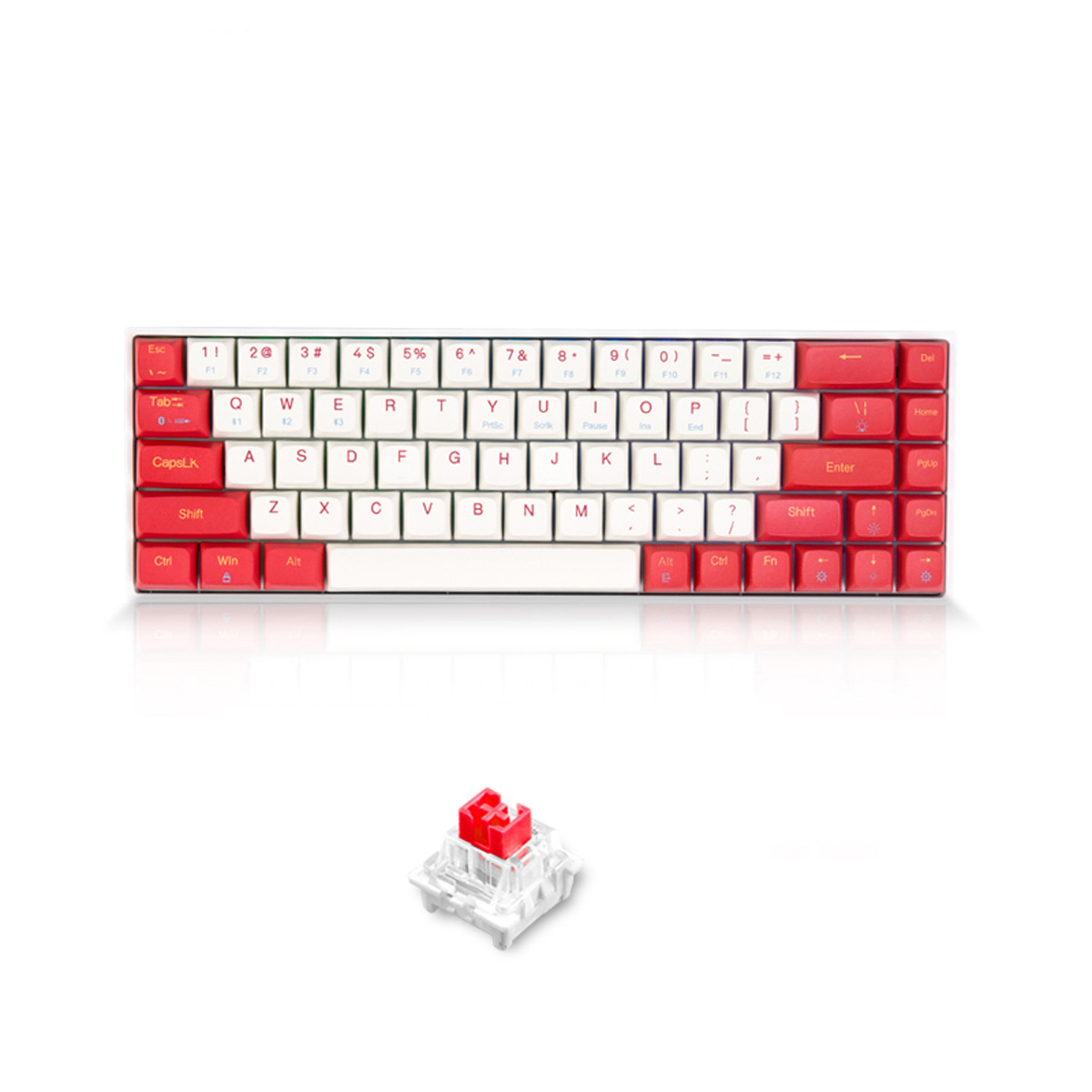 Bàn phím cơ không dây Dual Mode Newmen GM680 (Bluetooth 5.0, Cáp Type-C , 1x Set Keycap Rồng-Hổ ) - Red switch -Hàng chính hãng