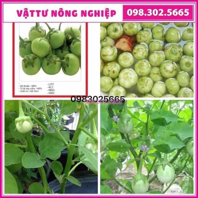 Cà pháo xanh cao sản gói 2gr và 5gr