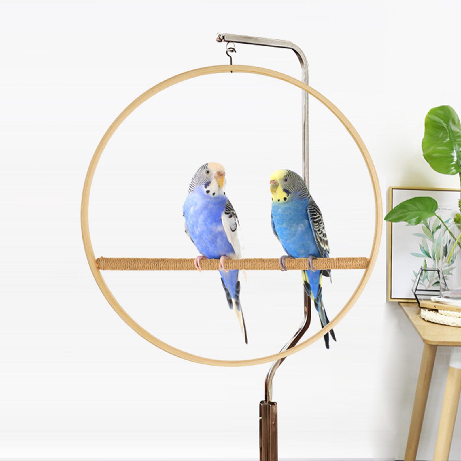 Parrot Swing Stand Hanging Bird Perch for Chicken Cage Standing Toy