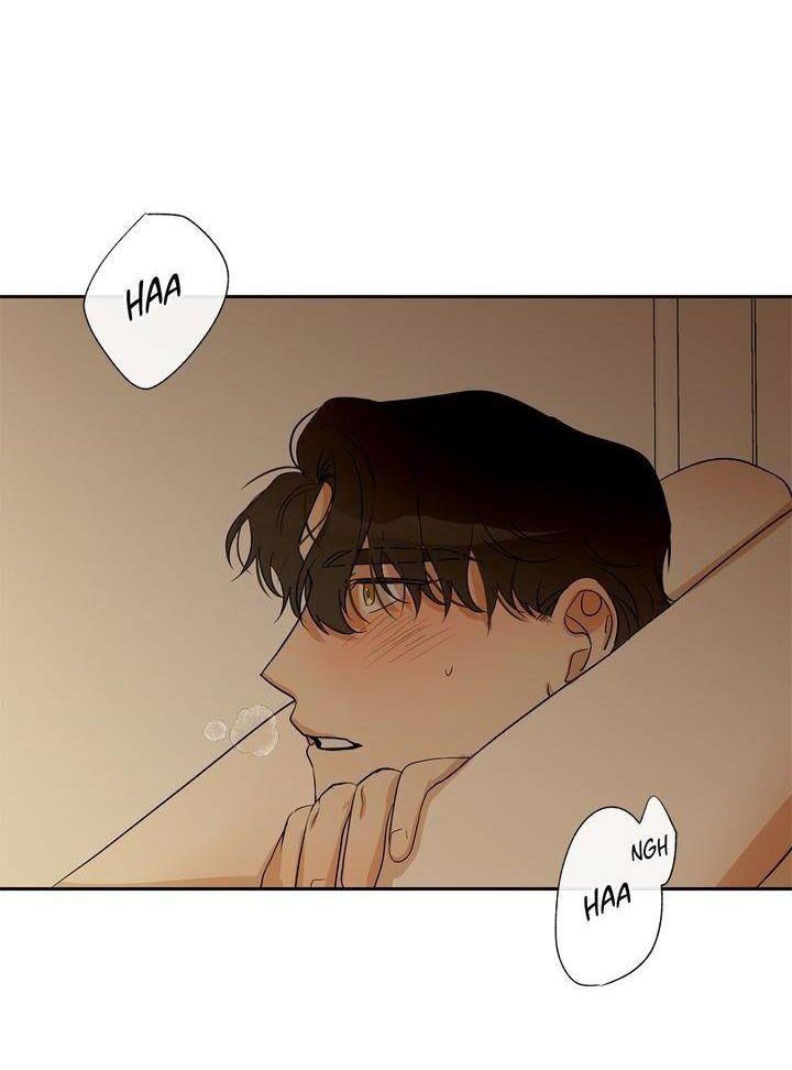 giấc mơ ngọt ngào chapter 20 18