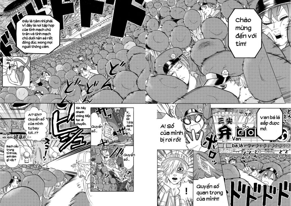 hataraku saibou! chapter 10 14