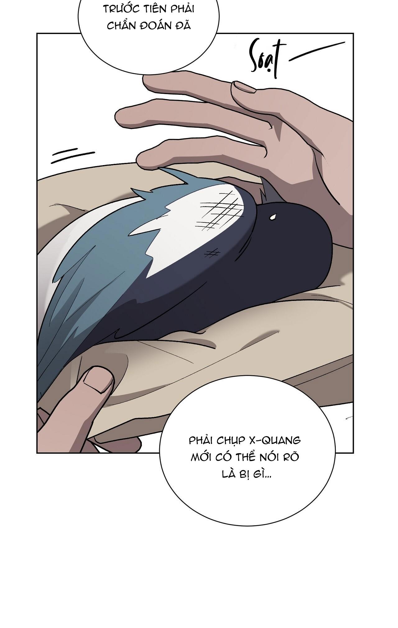 khi chim thước đến chapter 13 12