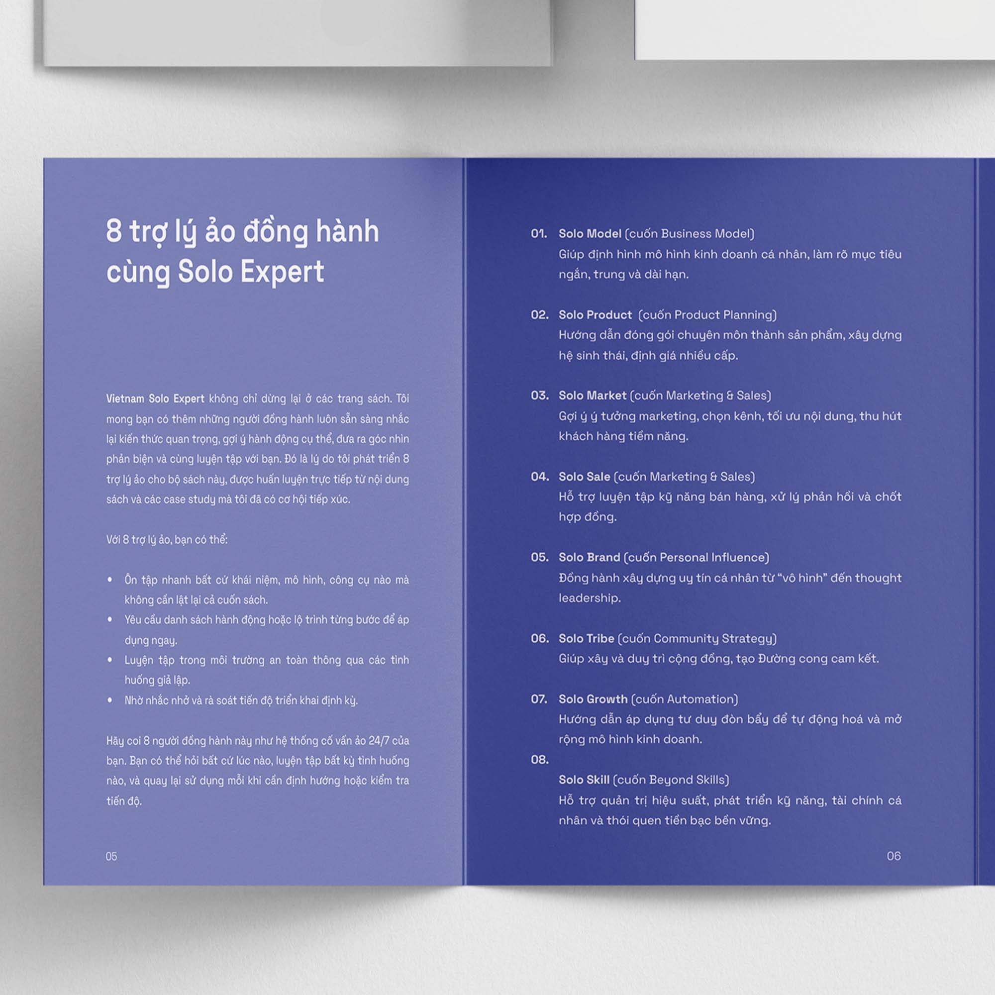 Bộ Sách Vietnam Solo Expert - 7 Công Cụ Giúp Bạn Làm Chủ Sự Nghiệp Kinh Doanh Chuyên Môn Độc Lập