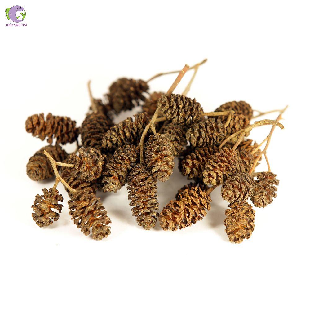 Trái thông khô Erlenzapfen - Trái Alder Cones cho tép cảnh-Bổ sung vitamin, tạo môi trường tự nhiên cho cá tép thuỷ sinh
