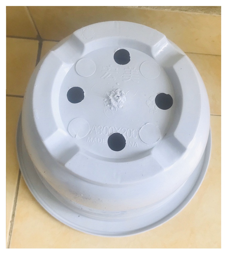 1 Chậu Nhựa Trồng Cây Hoa, Cây Cảnh A300x200