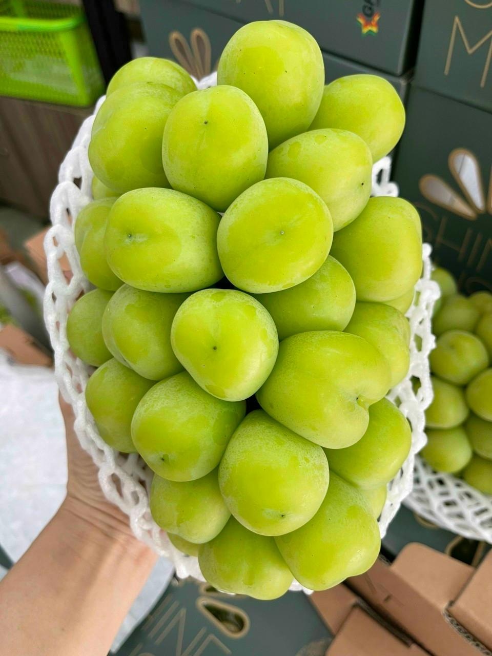 Nho sữa Hàn Quốc - 1KG