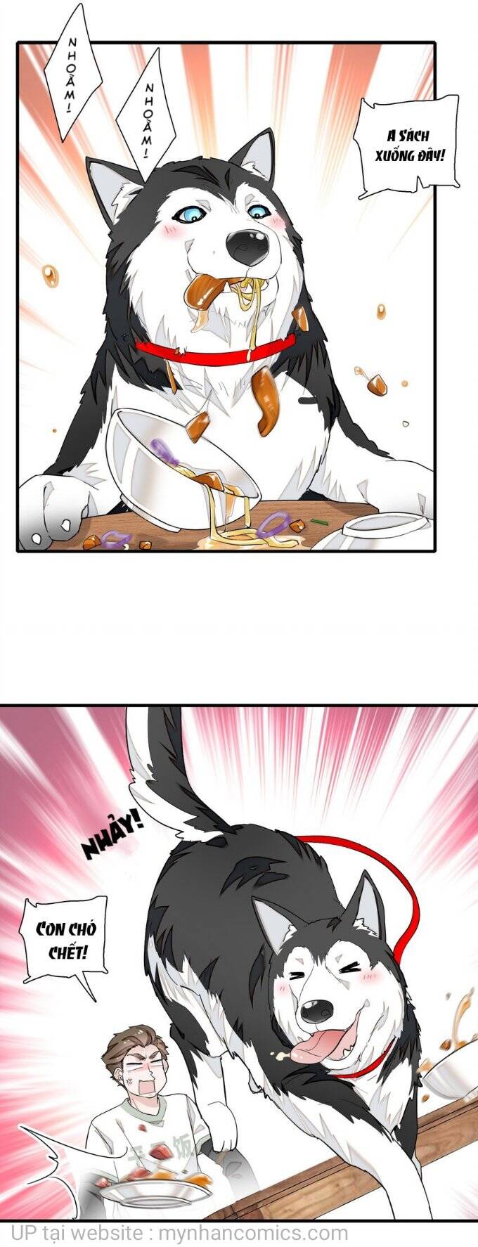 long phượng phiên chuyển chapter 66 1