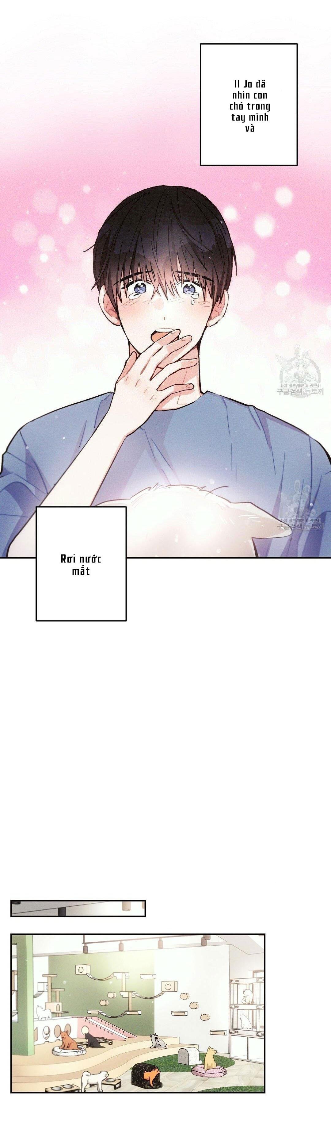 mưa giông chapter 48 19