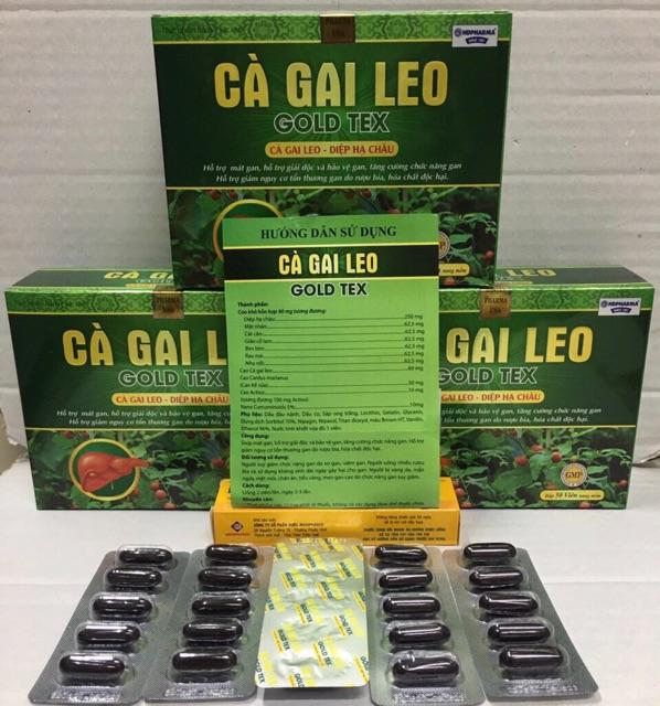 Cà gai leo Gold tex bổ gan mát gan giải độc gan tăng cường chức năng gan hiệu quả