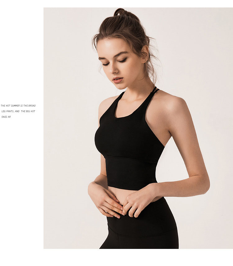 Áo Bra nữ tập Gym Yoga cao cấp thoáng khí siêu đẹp mã 221WX.