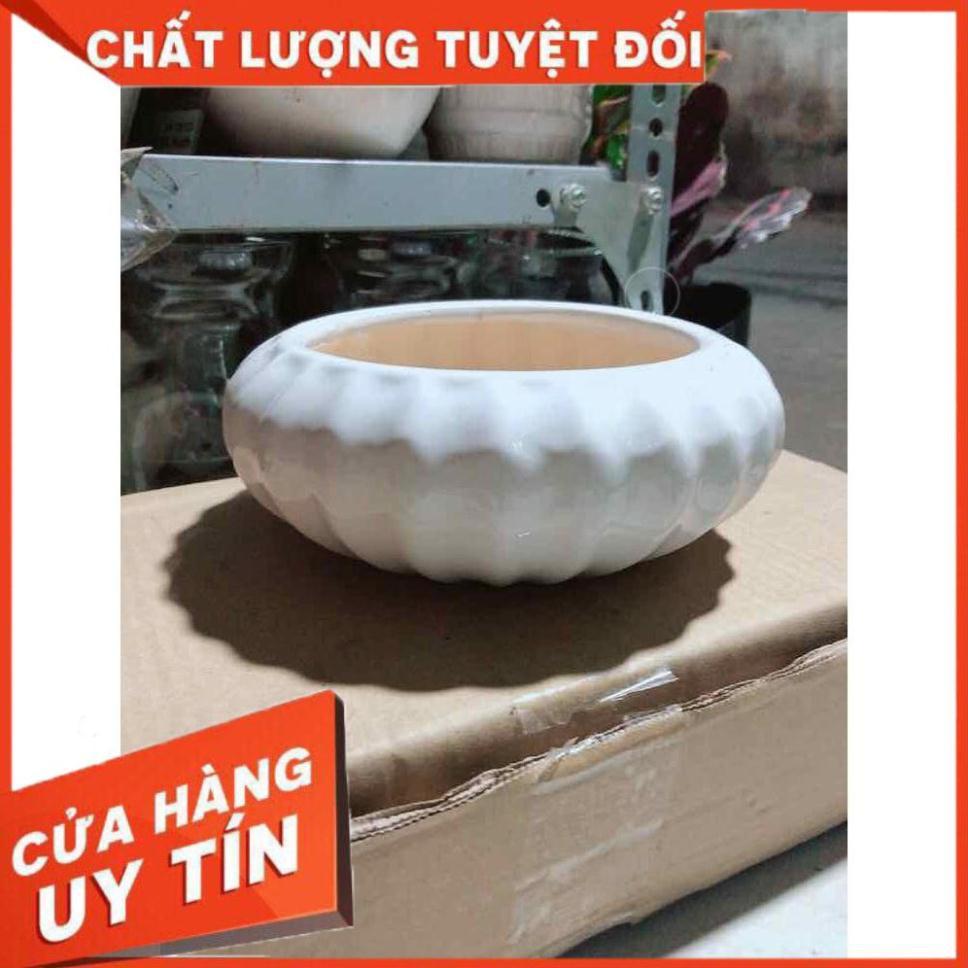 Chậu Trồng Cây Nhiều Người Mua