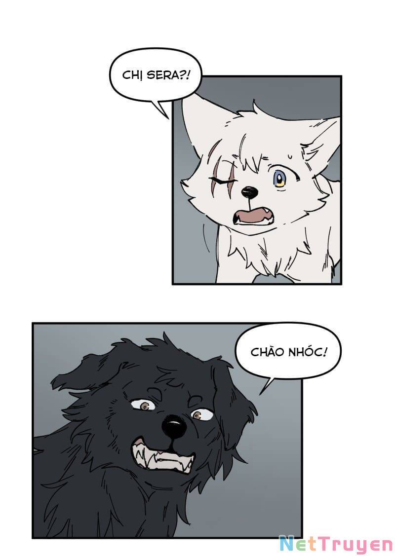 lumine - cội nguồn ánh sáng chapter 160 7