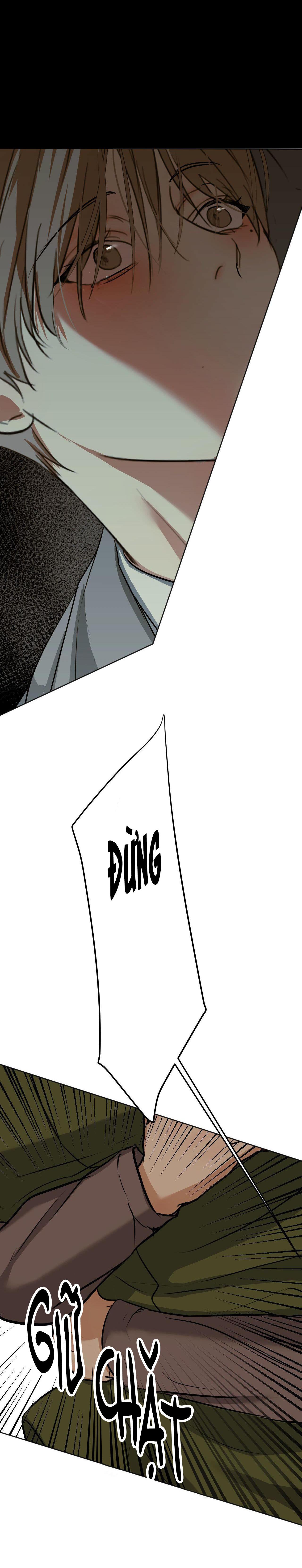 ái dục chapter 13 11