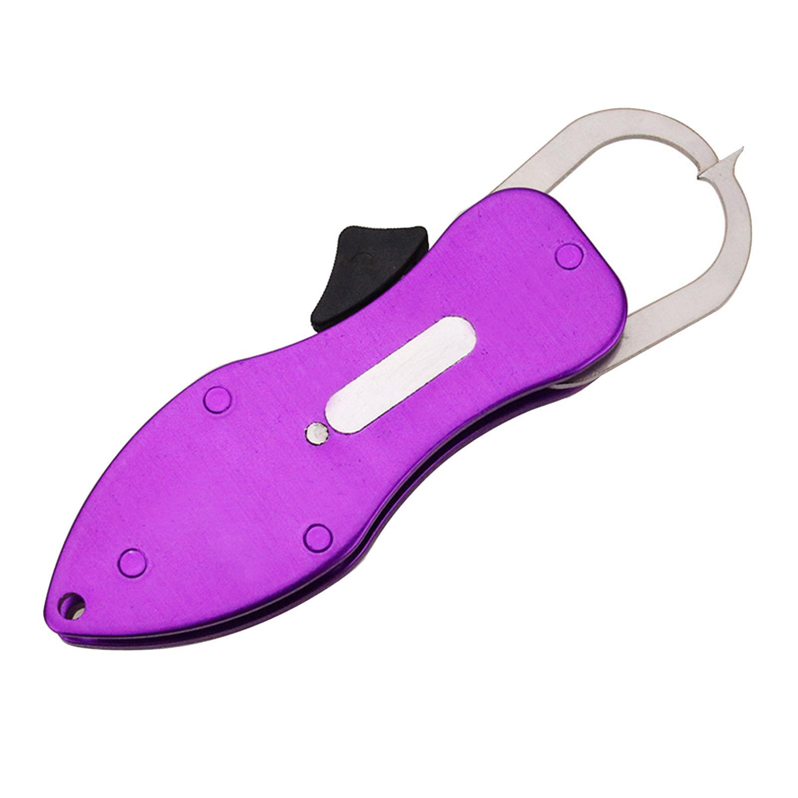 Portable Fish Lip Grip, Mini Fishing Gripper Pliers, Small Metal Fish Controlling Clamp Fishing Grabber Tool Accessories
