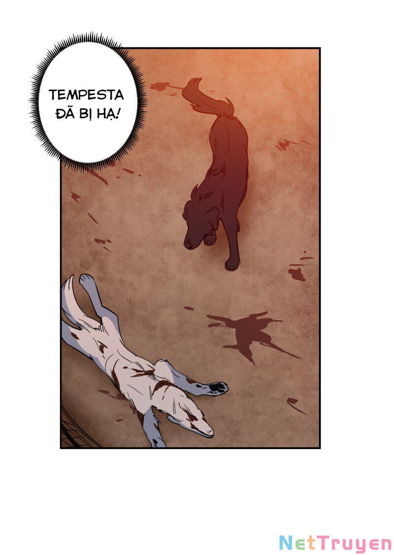 lumine - cội nguồn ánh sáng chapter 74 9