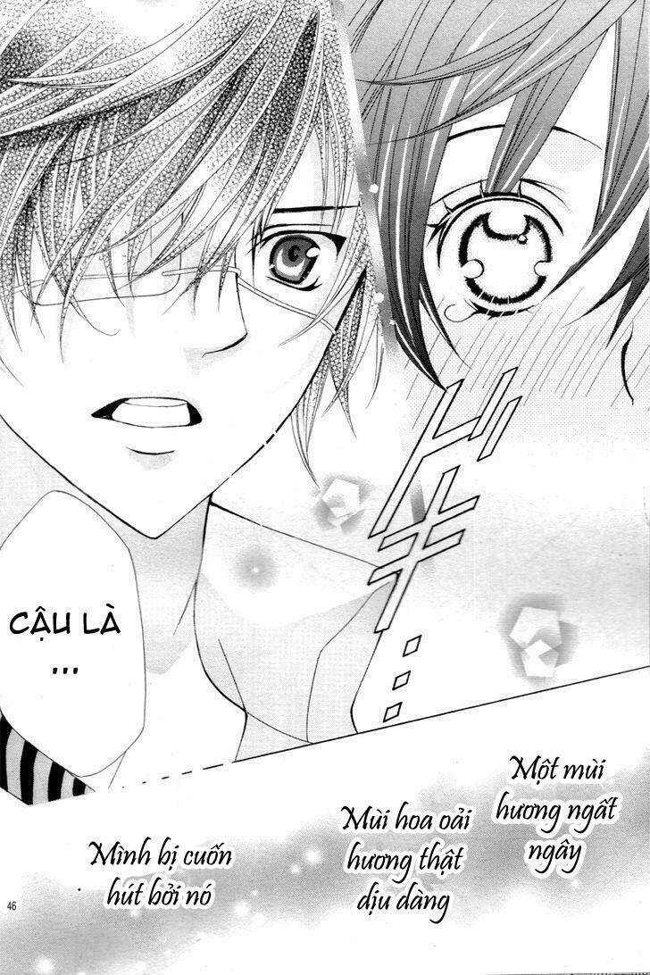 cuộc gặp gỡ diệu kỳ chapter 1 40